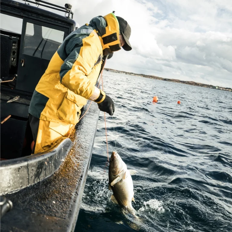 Instagram post from bonasana.lt. This post is in position 1.