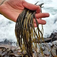 Instagram post from bonasana.lt. This post is in position 1.